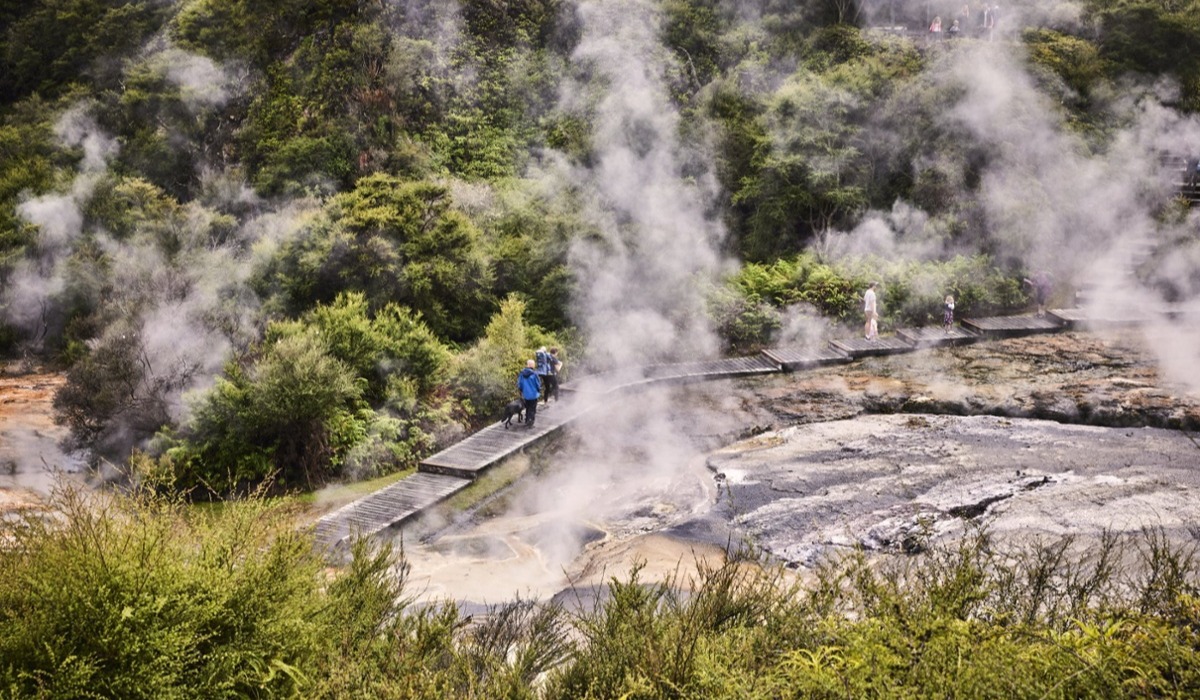 Orakei Korako Cave & Geothermal Park